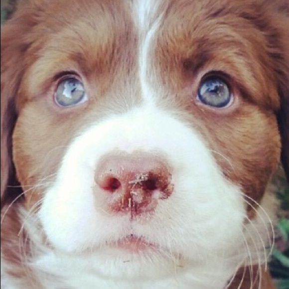 Meet your Posher, Laura - Picture 3 of 5